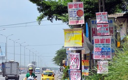 Trăm cơn “sốt đất”, một kịch bản: Tin đồn biến thành cuộc chơi của giới đầu cơ, khi nhà đầu tư đổ xô mua thì “sập”