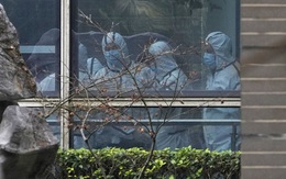 Báo Mỹ: WHO muốn hủy báo cáo về cuộc điều tra Covid-19 ở Trung Quốc