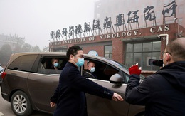 Báo cáo về nguồn gốc COVID-19 sắp được WHO công bố