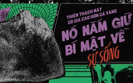 Thiên thạch này có giá cao hơn cả vàng: Nó nắm giữ bí mật về sự sống
