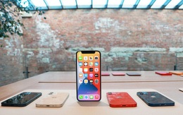 Thị trường smartphone cao cấp Việt Nam: Khi iPhone ngày càng “vô đối”