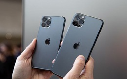 iPhone 11 Pro và Pro Max hết hàng tại Việt Nam