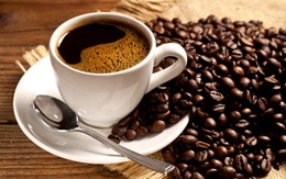Sự thật về cà phê chồn đắt như vàng: Ly cà phê "bịp bợm" đạp trên số phận đau thương của những chú cầy hương