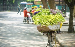 Bắc Bộ tăng nhiệt, Hà Nội ngày nắng 31 độ C