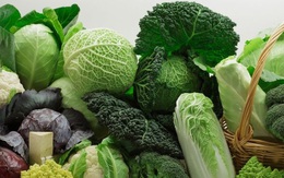 8 cách cải thiện sức khỏe đường ruột