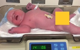 Bé trai chào đời nặng 6,4kg bằng "con nhà người ta" 2 tháng, ngoại hình lúc 5 tuổi gây ngỡ ngàng