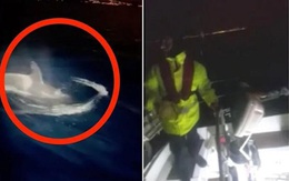Clip: Bầy cá voi sát thủ hung hãn tấn công tàu, thủy thủ căng mình 'chiến đấu'