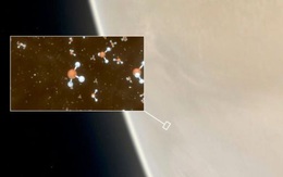 'Dấu hiệu của sự sống' được phát hiện trong những đám mây của sao Kim
