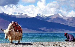 Người nước ngoài tới Tây Tạng du lịch nườm nượp nhưng ít ai dám ở lại quá lâu, vì sao?