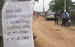 Hết 'sốt', giá đất nhiều nơi lại quay đầu giảm, cắt lỗ?