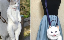 Balo mèo gây lú chiếm trọn trái tim netizen Nhật, giống thật tới nỗi hội mê mèo nhìn qua đã muốn xuống tiền mua luôn