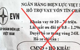 Giả mạo thương hiệu EVN để quảng cáo cho vay tín chấp