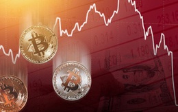 Bitcoin tiếp tục giảm sâu, rơi xuống dưới mốc 50.000 USD