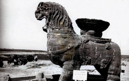 Dựng mái che cho tượng sư tử 1000 năm tuổi, các chuyên gia không ngờ mình đã mắc sai lầm nghiêm trọng, hủy hoại cả di tích