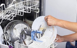Bột rửa còn nguyên, bát đũa nhờn bẩn khi dùng máy rửa bát và nguyên nhân khiến 'khổ chủ' cũng bất ngờ