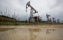 OPEC+ nới sản lượng sau cuộc gọi của Mỹ, giá dầu bất ngờ tăng mạnh