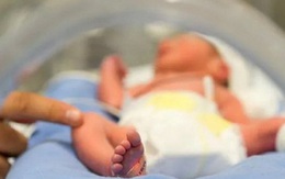 Một trẻ sơ sinh tại Tây Ban Nha có kháng thể chống lại COVID-19