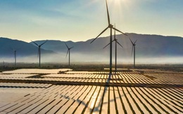 Năm kỷ lục ngành năng lượng tái tạo toàn cầu: Việt Nam đạt được những gì?