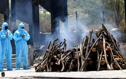 Chuyên gia WHO chỉ ra nguyên nhân dịch Covid-19 tăng theo “chiều thẳng đứng” ở Ấn Độ