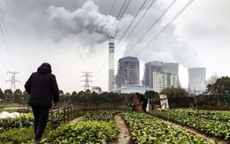 Truyền thông Mỹ: Trung Quốc phát thải khí nhà kính nhiều hơn cả Mỹ và nhiều nước phát triển khác