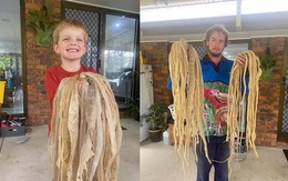 Ám ảnh khi phát hiện 50 tấm da rắn chình ình trên mái nhà