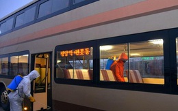 WHO: Triều Tiên vẫn 'miễn nhiễm' với COVID-19