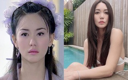 Mỹ nhân Ỷ Thiên Đồ Long Ký: Không sinh con vẫn được chồng giàu cưng chiều, U50 trẻ đẹp khó tin