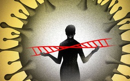 Phát hiện sốc: Virus SARS-CoV-2 có thể lẻn vào bộ gen người, đó là lý do có bệnh nhân COVID-19 vẫn tái dương tính sau vài tháng khỏi bệnh