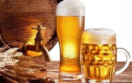 Có bao nhiêu bong bóng trong một cốc bia? Bong bóng trong bia có tác dụng gì?