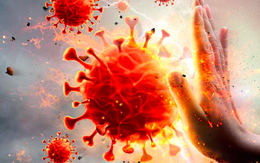 Làn sóng dịch Covid-19 thứ hai tại Ấn Độ - tác động đối với kinh tế thế giới và Việt Nam