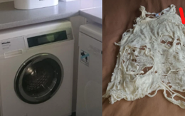 Bỏ hơn 60 triệu mua máy giặt xịn nhưng quần áo lại bị xé rách tan nát, người đàn ông “sôi máu” đâm đơn kiện và phản ứng của nhãn hàng