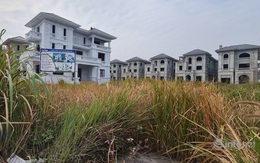 Điểm mặt những khu biệt thự trăm tỷ bỏ hoang ở Hà Nội, có bị đánh thuế?