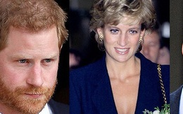 Hoàng tử William cùng em trai Harry đồng loạt lên tiếng chỉ trích cuộc phỏng vấn gian dối liên quan tới cái chết của Công nương Diana