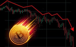 'Cá con', 'cá mập' đua nhau bắt đáy Bitcoin