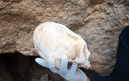 Hộp sọ dài phát hiện tại Peru thuộc về người ngoài hành tinh?