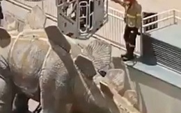 Tượng khủng long khổng lồ bất ngờ bốc mùi hôi thối khủng khiếp, cảnh sát ngó qua vết nứt phát hiện cảnh rùng rợn hy hữu