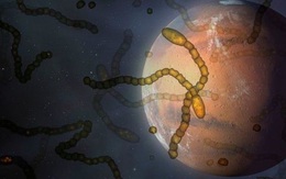 Tàu thăm dò của NASA tìm thấy muối hữu cơ trên sao Hỏa