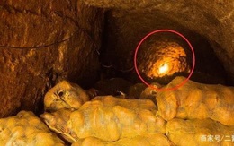 Ông lão phát hiện ổ chuột trong hầm chứa khoai nhà mình, mạnh dạn đào ra thì thấy cảnh tượng khó tin!