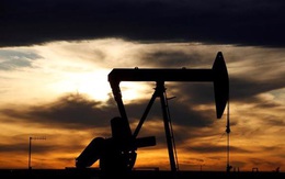 Giá dầu tăng gần 5% tuần này nhờ loạt dữ liệu “rực rỡ” về kinh tế Mỹ