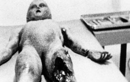 Bất ngờ số phận bức ảnh nổi tiếng về thi thể người ngoài hành tinh từ bộ phim tuyệt mật