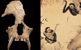 Khai quật lăng mộ bà nội Tần Thủy Hoàng, chuyên gia sửng sốt khi phát hiện những thứ bên trong