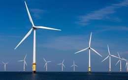Quốc tế khuyến nghị Việt Nam tăng 3-5 lần công suất quy hoạch điện gió để hút vốn đầu tư