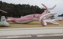 Thị trấn Nhật Bản gây bức xúc vì dùng tiền cứu trợ COVID-19 để xây tượng mực khổng lồ