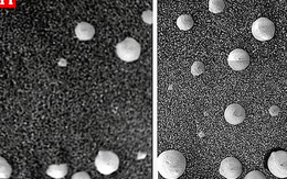 NASA vô tình ghi hình được sự sống ngoài hành tinh?