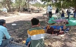 Nông thôn Ấn Độ: Bệnh nhân COVID-19 nằm dưới tán cây, chai dịch treo trên cành