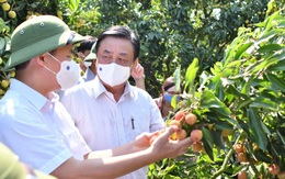 Bộ trưởng Lê Minh Hoan: Nên bỏ từ 'giải cứu nông sản'