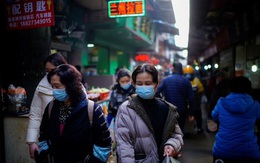 Mỏ đồng ở Trung Quốc và nghi vấn COVID-19 xuất hiện từ năm 2012