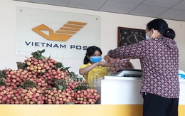 Công đoàn Bưu điện tỉnh Bắc Giang triển khai bán vải thiều không lợi nhuận