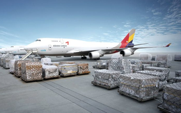 Đề xuất lập hãng IPP Air Cargo của ông Johnathan Hạnh Nguyễn có thể chỉ được xem xét khi thị trường hàng không phục hồi?