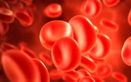 8 lý do bạn nên biết nhóm máu của mình